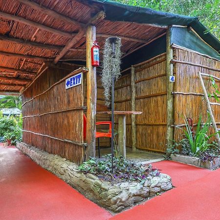 Gala Gala Eco Resort Понта до Оуро Екстериор снимка