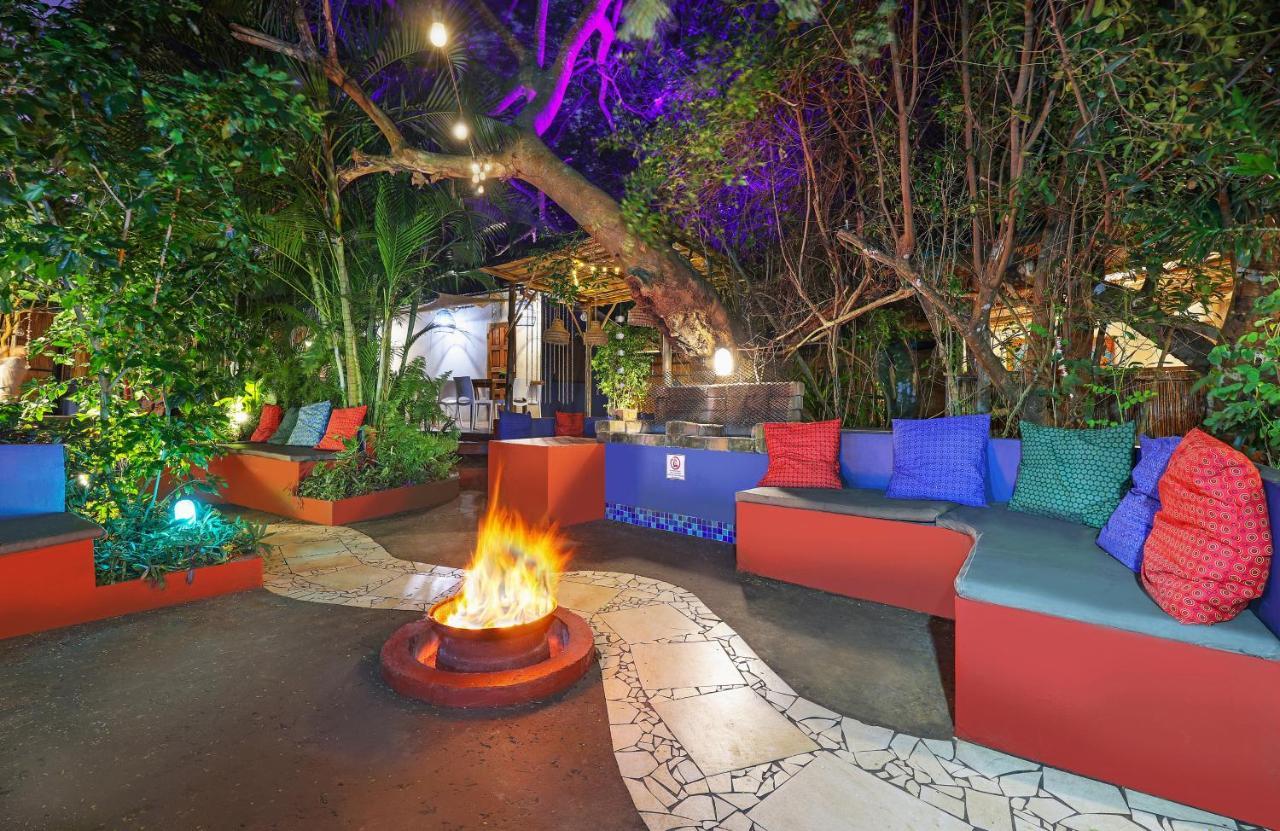 Gala Gala Eco Resort Понта до Оуро Екстериор снимка